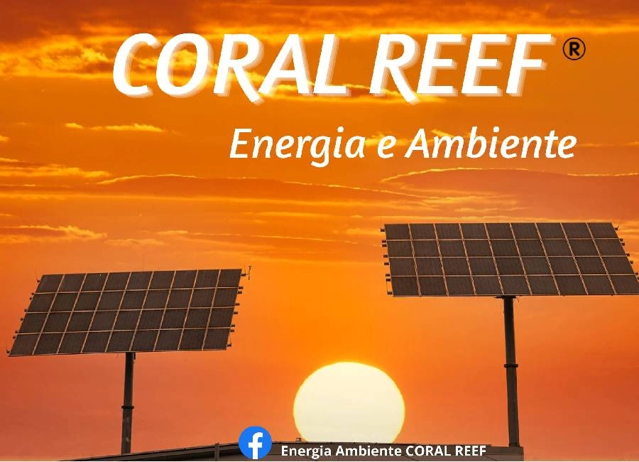 coral reef banner 