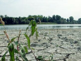 Giornata mondiale Ambiente 28 Italia a rischio desertificazione lallarme