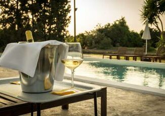 Cantine con piscina o piscine tra le vigne il connubio perfetto per lestate