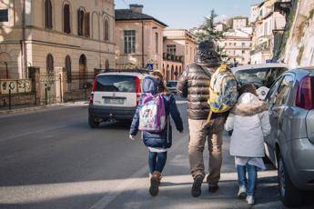 Avere fratelli non fa bene alla mente lo studio