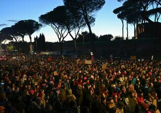 25 novembre donna con bandiera Palestina aggredita al corteo a Roma