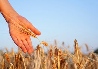 Alimenti medici ambiente Sicurezza cibo chiave controllo migrazioni