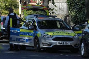 Auto contro i cancelli di Buckingham Palace un arresto