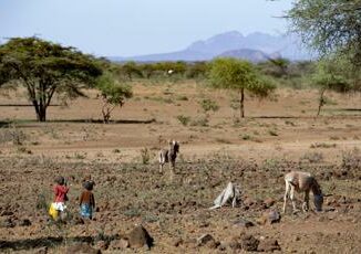 Cesvi In Africa le persone denutrite aumenteranno da 282 a 298 milioni nel 2030