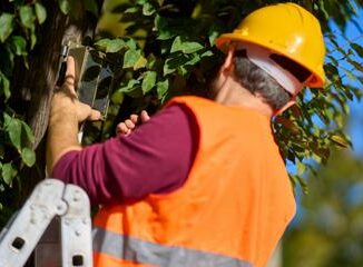 Prospettiva terracosi il network installera i sensori nella Biblioteca degli Alberi Milano