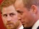 Tra William e Harry danni irreparabili ecco perche