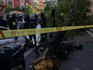 Uccisa da albero caduto a Roma il legale Il Comune e civilmente responsabile