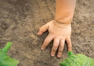 Giornata mondiale del suolo un appello per la salute della terra