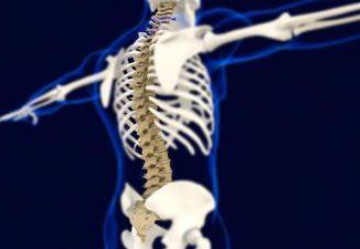 Osteopatia diventa corso di laurea fra le polemiche E pseudoscienza