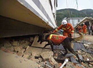 Terremoto in Cina scossa 6.2 nella provincia del Gansu decine di morti