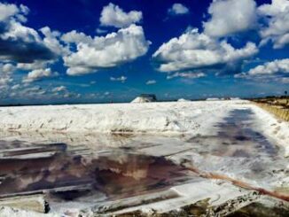 WD SALT Margherita di Savoia BT SOS ghiaccio e neve su strada pronta consegna di sale industriale per disgelo