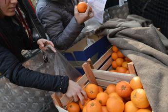 Brodo arance e miele il menu che protegge dal freddo