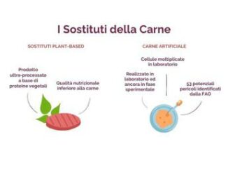 Sostituti della carne fanno davvero bene Gli esperti svelano i falsi miti nel nuovo dossier Nutrimi