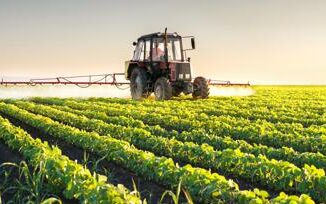 Agricoltura Ismea ripartono gli incentivi per limprenditoria giovanile e femminile