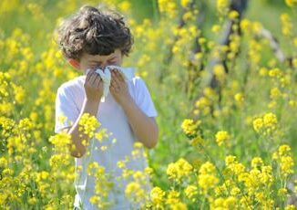 Allergie si parte limmunologo Stagione gia iniziata a tavola prima difesa