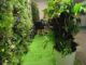 Aquaponic Design lancia a My plant Garden DWT 2.0 in Liquid Wood