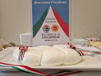 Dal Consorzio della mozzarella di bufala campana Dop una maxi treccia tricolore a Mattarella