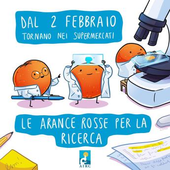 World cancer day in 10mila supermercati le arance Airc per la ricerca