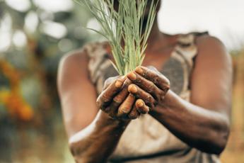 I cambiamenti climatici influenzano le disuguaglianze di genere come e quanto