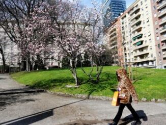 In arrivo un assaggio di primavera le previsioni meteo di oggi e domani