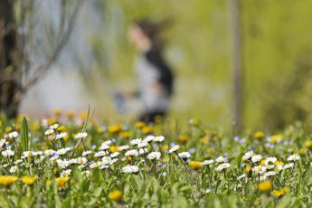 Per Pasqua niente compiti delle vacanze. Il pediatra Inutili e dannosi