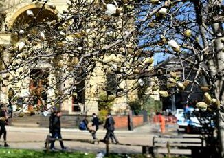 Scoppia la primavera arrivano sole e temperature oltre i 20° meteo oggi e domani