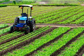 UnEuropa sociale attenta alle sfide dellagricoltura il manifesto Cia – Agricoltori italiani