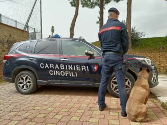 Carabinieri cinofili di Palermo