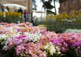 Floracult torna a Roma la mostra mercato al parco di Veio dal 25 al 28 aprile