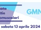 Logo GMN 2024