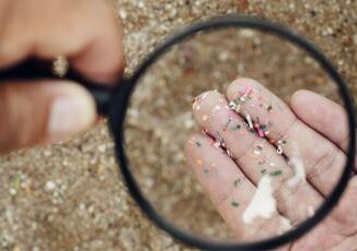 Incubo microplastiche dal cibo ai vestiti 10 regole per proteggersi