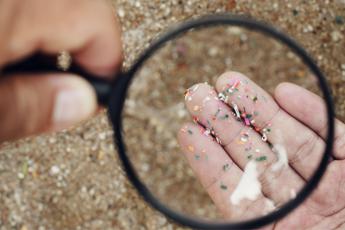 Incubo microplastiche dal cibo ai vestiti 10 regole per proteggersi