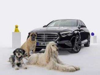 Mercedes MBUX Bark Assist lassistente vocale per gli amici a quattro zampe