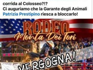 Rodeo e monta tori a Roma indignazione cittadini Prestipino scrive al Sindaco