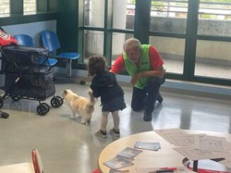 Al Niguarda e Fatebenefratelli Milano Cat Therapy per mille bambini