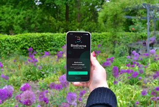 Biodiversa snap and protect formula per monitorare la biodiversita e contribuire alla sua tutela tramite unapp gioco