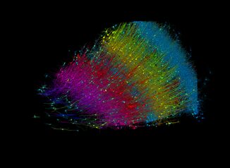 Cervello umano in 3D frammento mappato e ricostruito per la prima volta