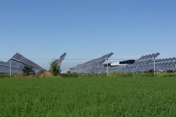 Dl Agricoltura stop allagrivoltaico se non permette lattivita agricola