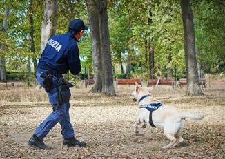 Empoli poliziotto a spasso col cane scopre oltre 2 etti di cocaina