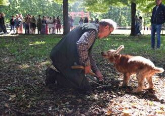 Leo il cane cieco campione nella ricerca del tartufo ecco la sua storia