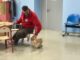 Pet therapy Colombo Fridas Friends Onlus Progetto nato per aiutare persone con disabilita