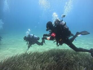 Garantire la biodiversita e tutelare il mare cosi E.ON investe sul futuro dei giovani con le Summer School del progetto Energy4Blue