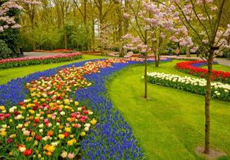 Il Verde in Europa la crescita dellimportanza dei giardini e le sfide della tecnologia di manutenzione