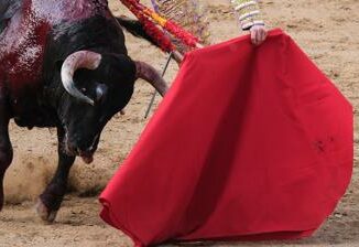 Il toro incorna il toreador paura alla corrida Video