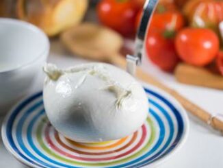 Mozzarella Dop duello formaggi Italia Francia focus Osservatorio economico