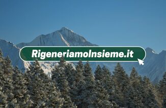 Rigeneriamo Insieme la community per azioni a favore dellambiente