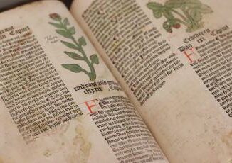 Risolto il mistero del Manoscritto di Voynich