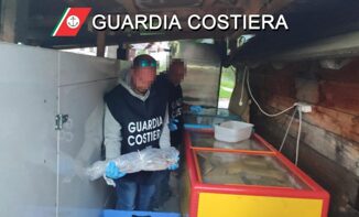 Cortina pesce scaduto nei ristoranti dei vip sequestro da 14 tonnellate