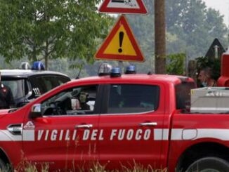 Padova cade nel miscelatore del cibo per bestiame morto