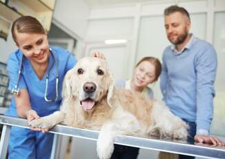 Universita a Roma Tor Vergata il nuovo corso di laurea in Medicina veterinaria